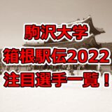 駒沢大学,箱根駅伝,2022,注目選手,一覧