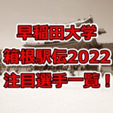 早稲田大学,箱根駅伝,2022,注目選手,一覧！