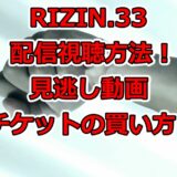 RIZIN.33,ライジン,配信,視聴,方法,見逃し,動画,チケット,買い方