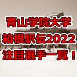 青山学院大学,箱根駅伝,2022,注目選手,一覧